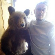 ������, 41 ���, ������������