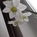   ., , 71  -  23  2025    