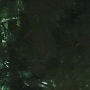 ���������, 42 ����, ������