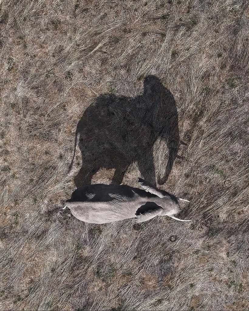 Немного красоты вам в ленту - 7