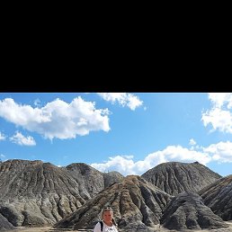 ������, ��������, 66 ���