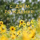 ���� �������, �������, 50 ��� - ��������� 8 ���� 2024 � ������ ���� ����������