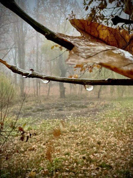    , -.  .    ,    ... - 2