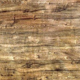 Sf_shev, ������, 36 ���