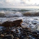 ���� Grigori, �����, 61 ��� - ��������� 7 ������� 2024 � ������ ���� ����������