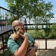 �������, 32 ����, ������