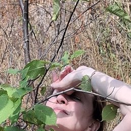 , 49, 