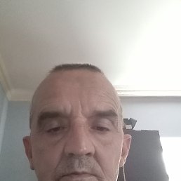 , 54, 