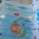 ���� �����, �����, 52 ���� - ��������� 27 ���� 2024