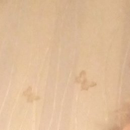 ���������, ������, 63 ����