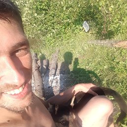 , 29, 