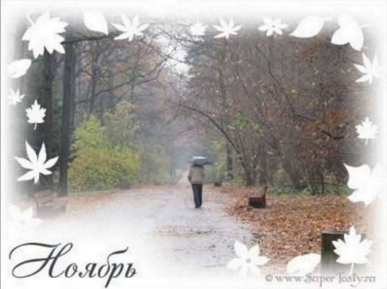 !  ? .   ,    ., , ,  ,  ...