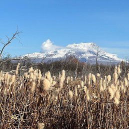 Albert, ���������, 48 ���