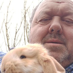 , 55 , 