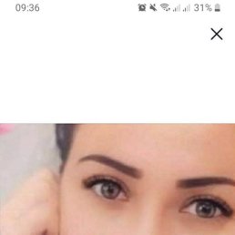 , 37, 