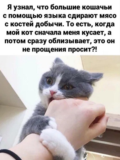 ☆ ☆ - 5  2025  16:32