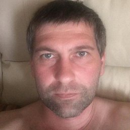 �����, ������, 41 ���