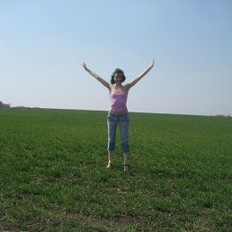 �����, ������, 41 ���