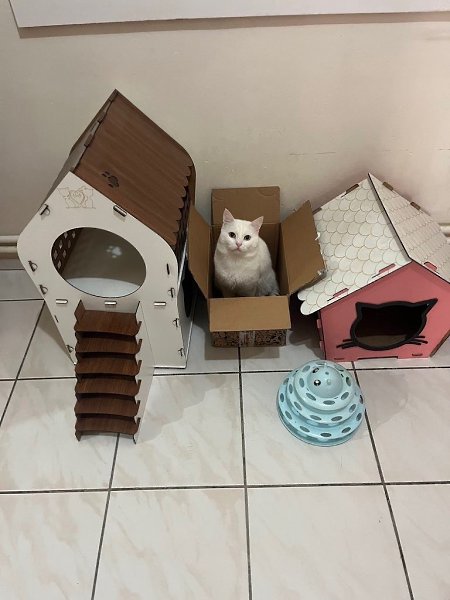 ��� �������� ����������� �� ����� ������