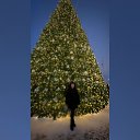���� �����*, ������ �������� - ��������� 5 ������ 2026 � ������ ���� ����������