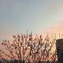 ���� ������, ����������� - ��������� 25 ������ 2024 � ������ �������