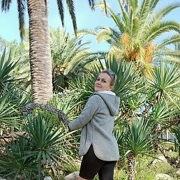 �����, ������, 40 ���