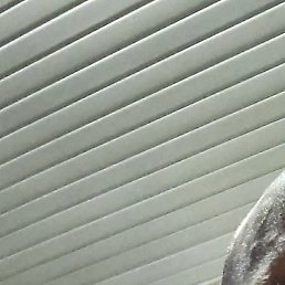 �����, �������, 40 ���