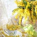 ���� ����, ���������� - ��������� 11 ������ 2026 � ������ ������ ��������