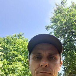 , 40, 