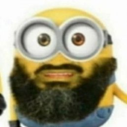 ����, ���������, 25 ���