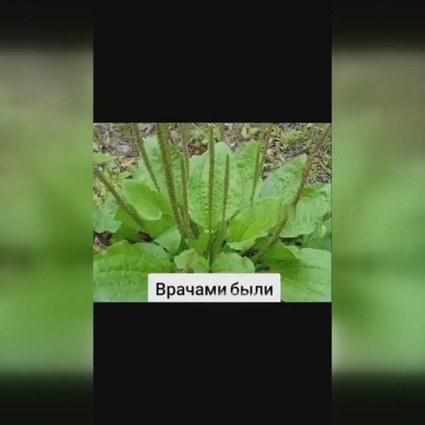 ��� ������ ����, ������� ����� ���� - 2