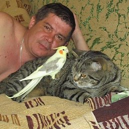 ������, ��������, 50 ���