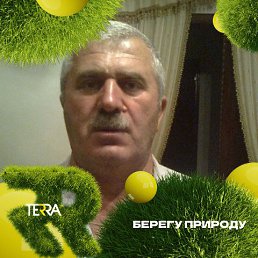 , 67, 