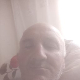 , 34, 