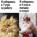 ���� �����, ���� - ��������� 20 ��� 2026 � ������ ������ ��������