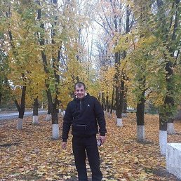 �����, �������, 48 ���