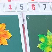 ��������, 26 ���, ����