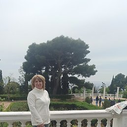 �������, ���������, 61 ���