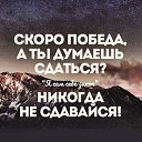 ���� �������, �������, 41 ��� - ��������� 9 ��� 2026 � ������ ������ ��������