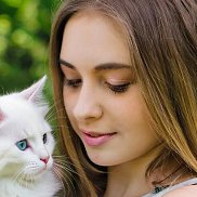 ����� ��������, 24 ����, ���������