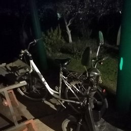 ���� ����, �����, 47 ��� - ��������� 13 ��� 2026