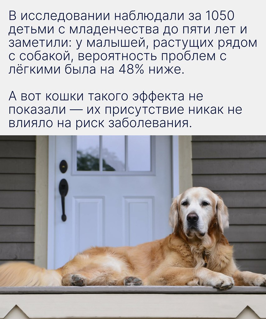 ,       ,      . ... - 2