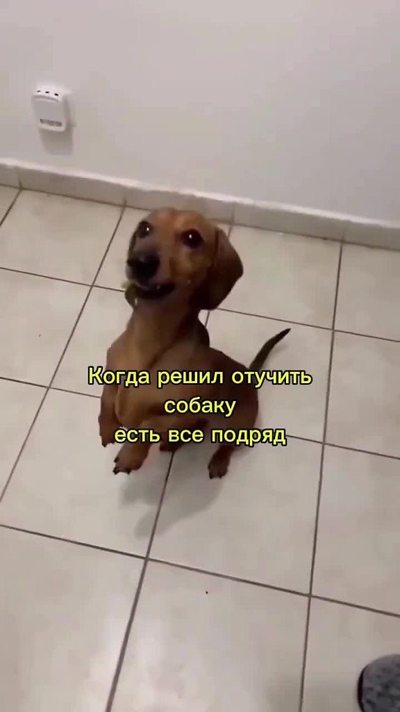 ce�e�o. ����� ������� - 2