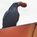 ���� ����, �������-��������� - ��������� 2 ������ 2026 � ������ ������ ��������