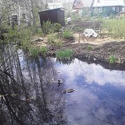 ������, 47 ���, ������������