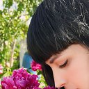 ���� �������, ������� ��������, 41 ��� - ��������� 18 ���� 2024 � ������ ������ ��������
