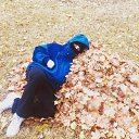 ���� �����, �����, 28 ��� - ��������� 30 ������ 2023 � ������ ���� ����������