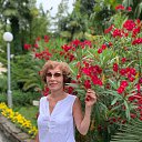 ���� ������, ���������, 67 ��� - ��������� 2 ���� 2025 � ������ ���� ����������