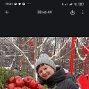 ���� �����, ������, 66 ��� - ��������� 11 ������ 2026 � ������ ���� ����������