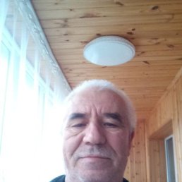 , 66, 